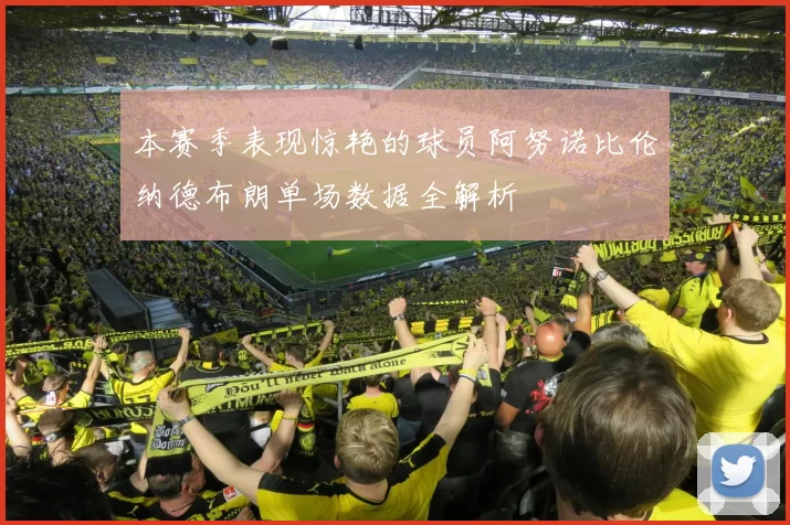 本赛季表现惊艳的球员阿努诺比伦纳德布朗单场数据全解析
