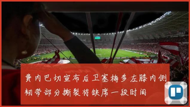 费内巴切宣布后卫塞梅多左膝内侧韧带部分撕裂将缺席一段时间